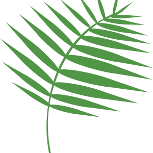 graphic, palm, palm sunday, holy week, lent, christianity, palm sunday, palm sunday, palm sunday, palm sunday, palm sunday