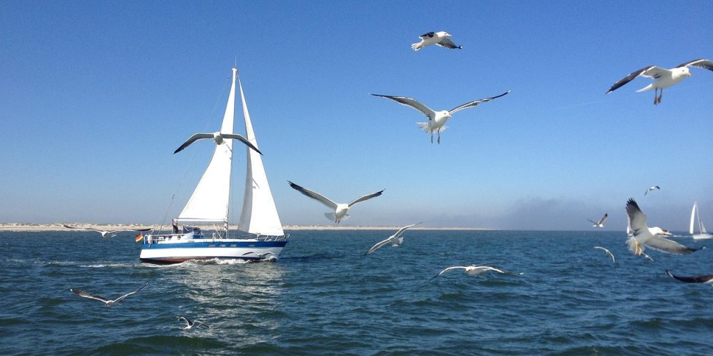 photo by sollermann sailboat, seagulls, north sea, sailboat, sailboat, sailboat, sailboat, sailboat